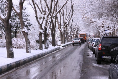 红色巴士树木覆盖着雪白天之间的道路
